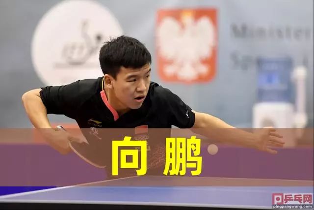 足球俱乐部 足球俱乐部