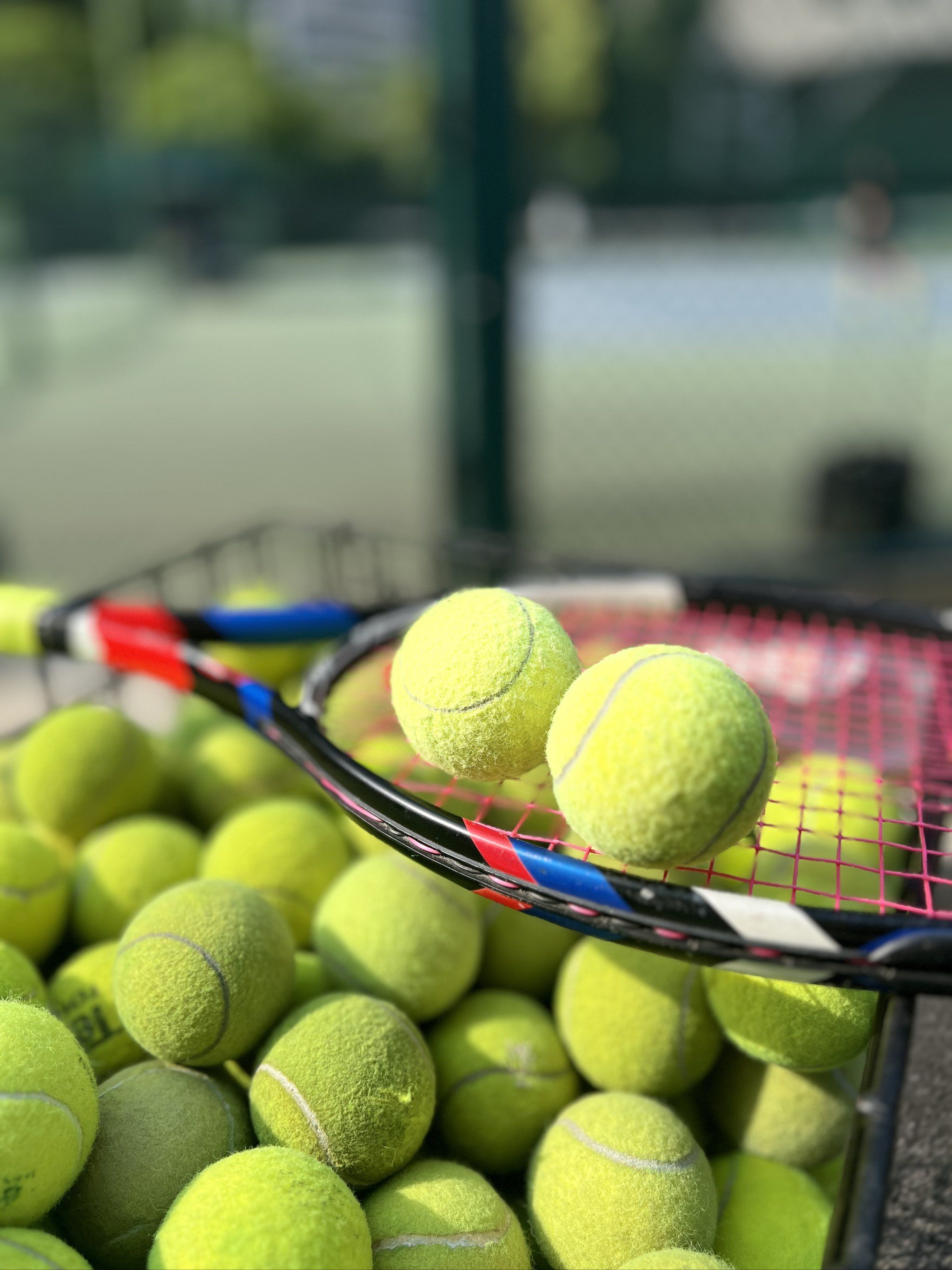 尼所强调的 尼所强调的