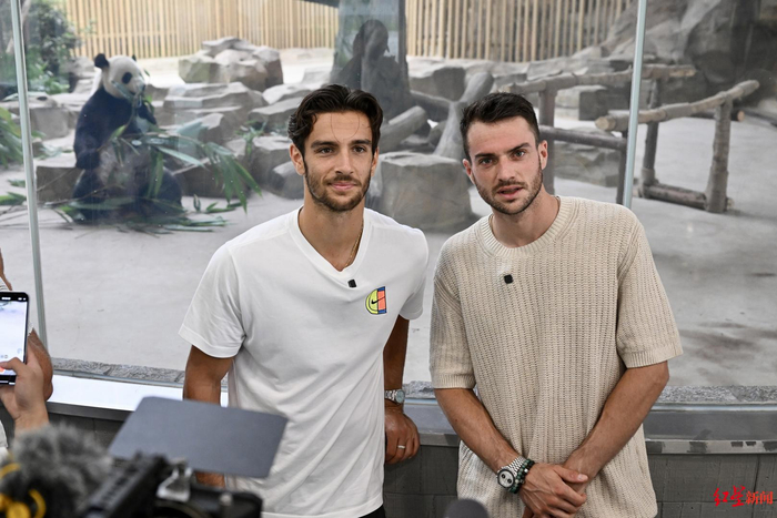 运动员比目 运动员比目